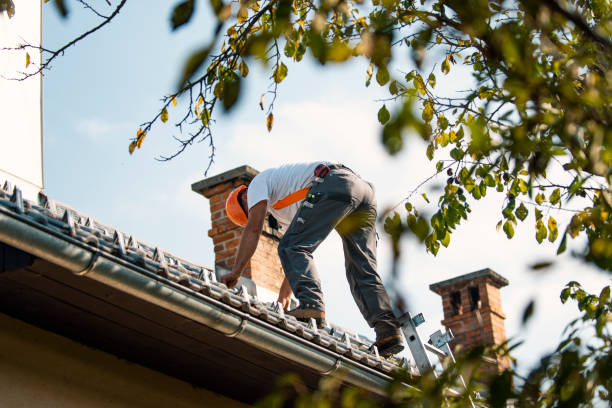 Best Residential Roofing Contractor  in Daly City, CA